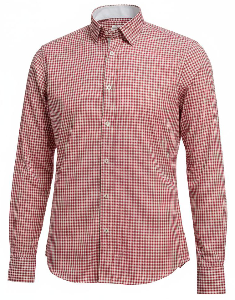 Red & White Gingham image 1